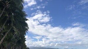 Una playa con palmeras, un bote y montañas al fondo.