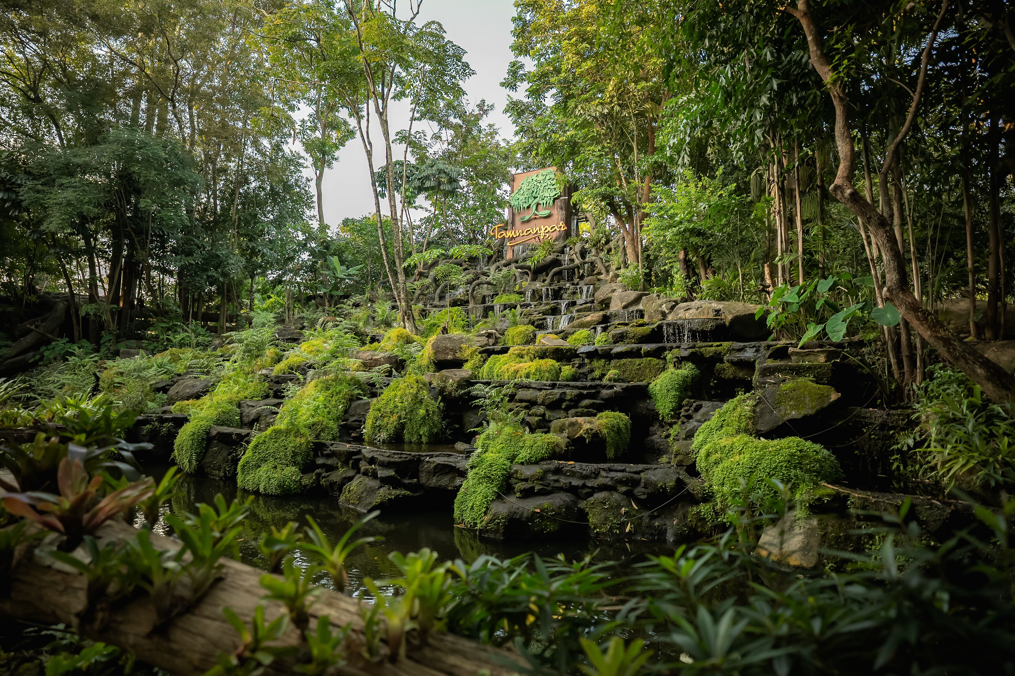 breakfast, lunch, dinner served; international cuisine