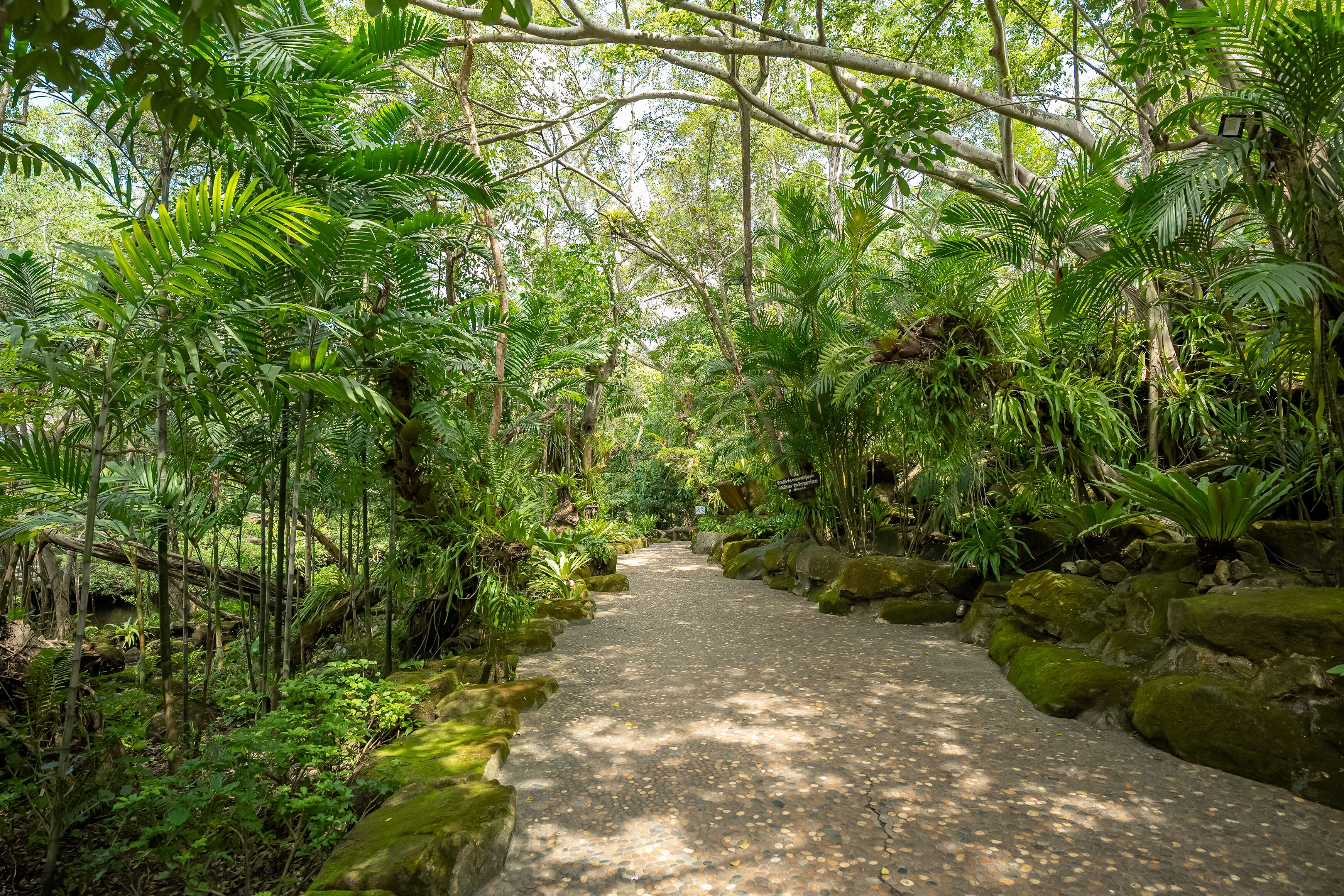 breakfast, lunch, dinner served; international cuisine