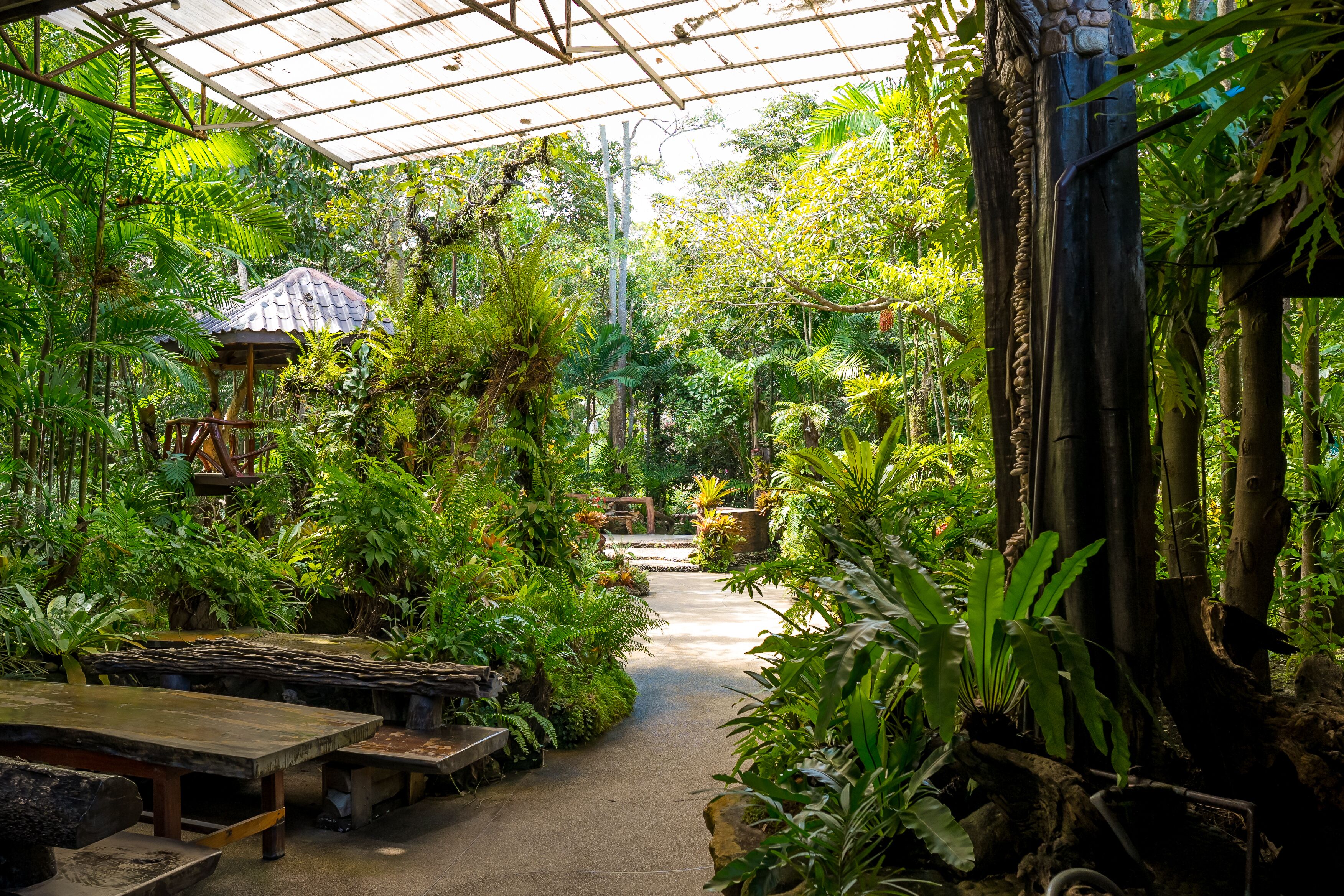 บริการอาหารเช้า อาหารกลางวัน อาหารเย็น, อาหารนานาชาติ