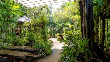 บริการอาหารเช้า อาหารกลางวัน อาหารเย็น, อาหารนานาชาติ