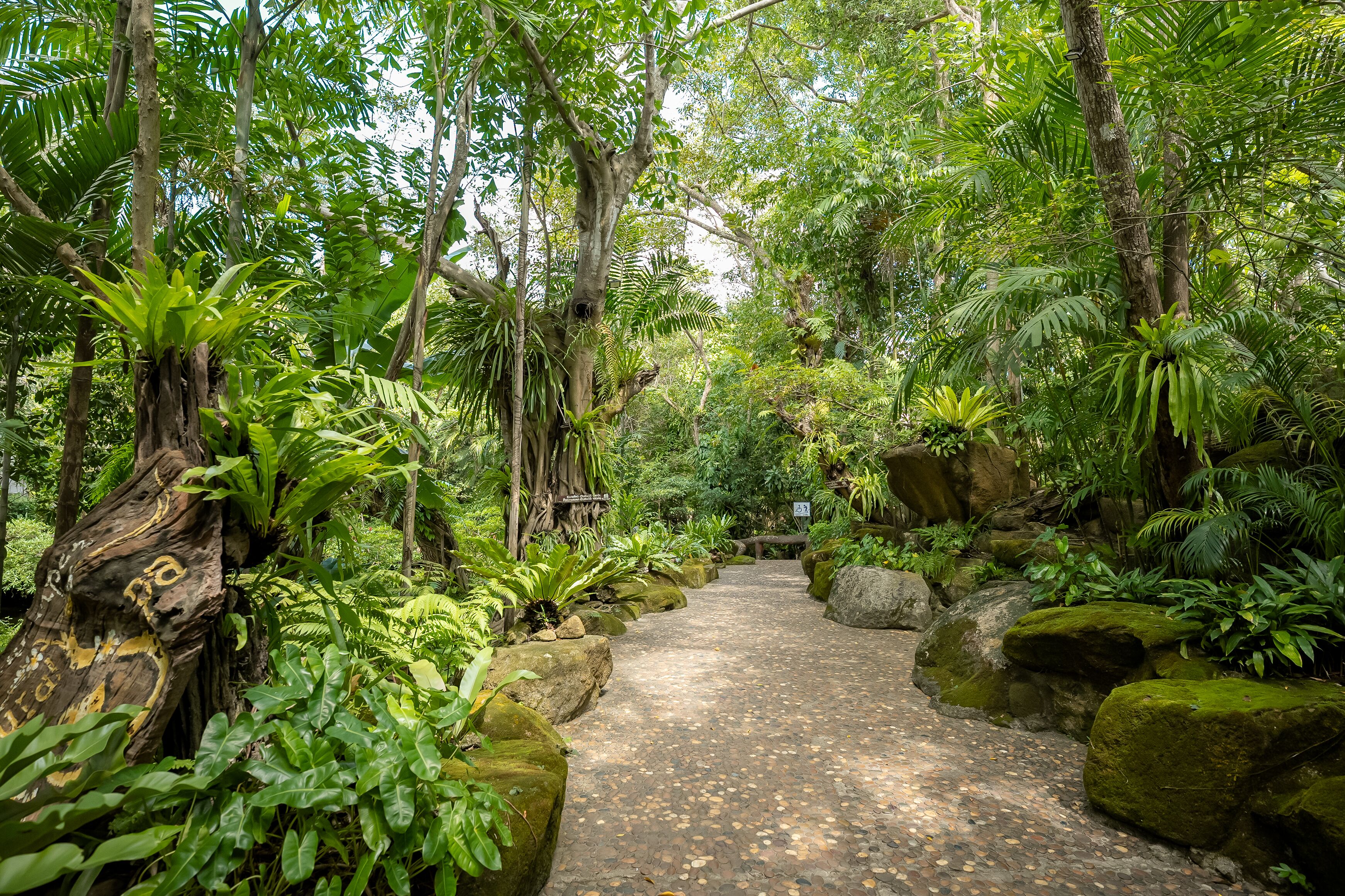 供應早餐、午餐和晚餐，國際料理
