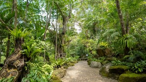A pathway through a lush garden with large rocks and dense foliage. - Tamnanpar Resort and Water Park Rayong (Rayong)