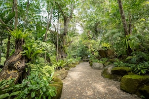 Se sirven desayunos, almuerzos y cenas; cocina internacional