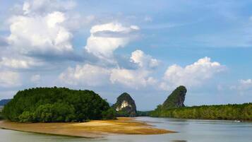 A river with a sandy beach and two prominent rock formations surrounded by dense greenery.