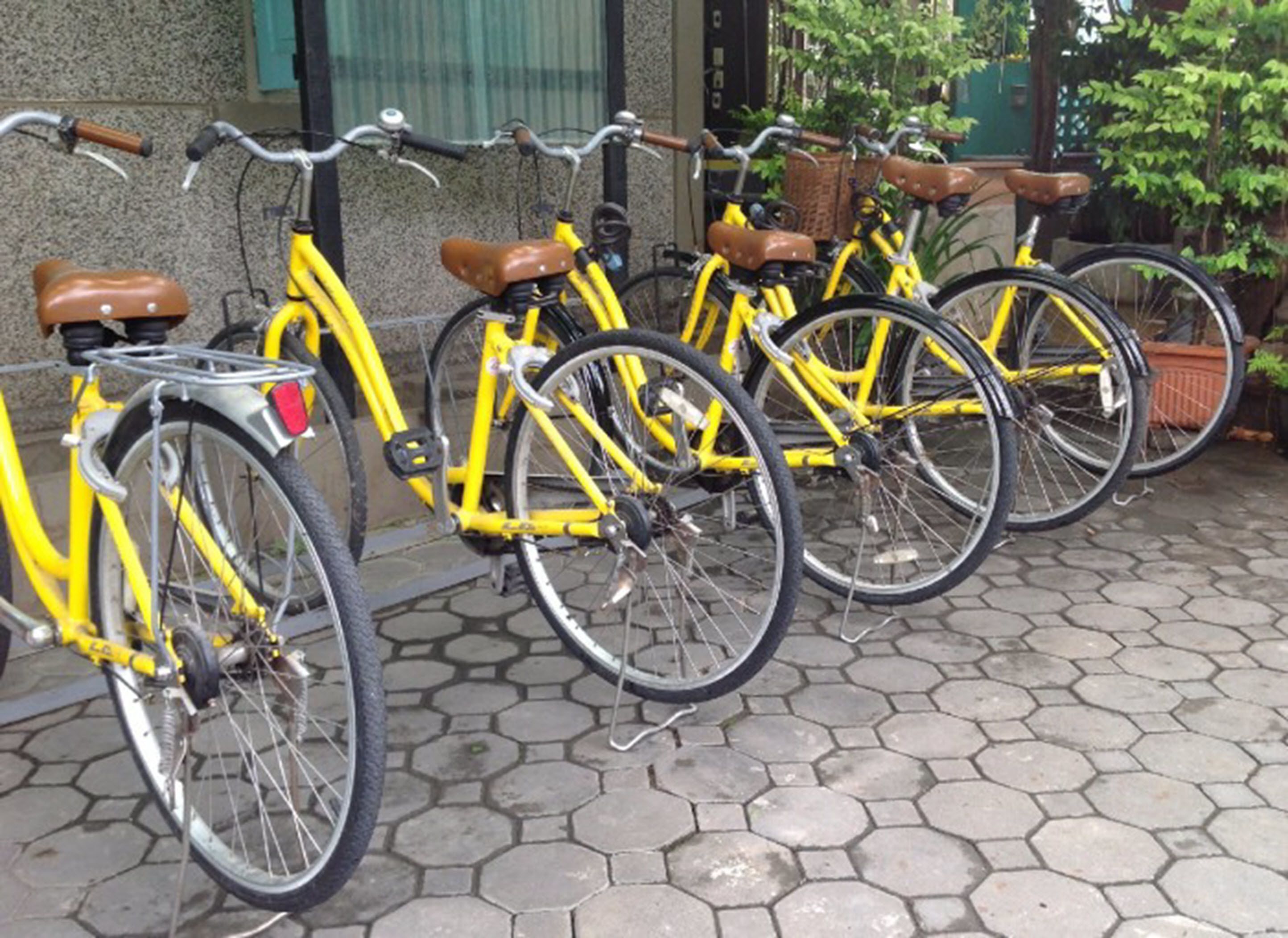 A row of yellow bicycles parked on a hexagonal tile pavement.