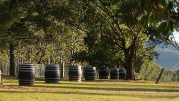 Áreas de la propiedad