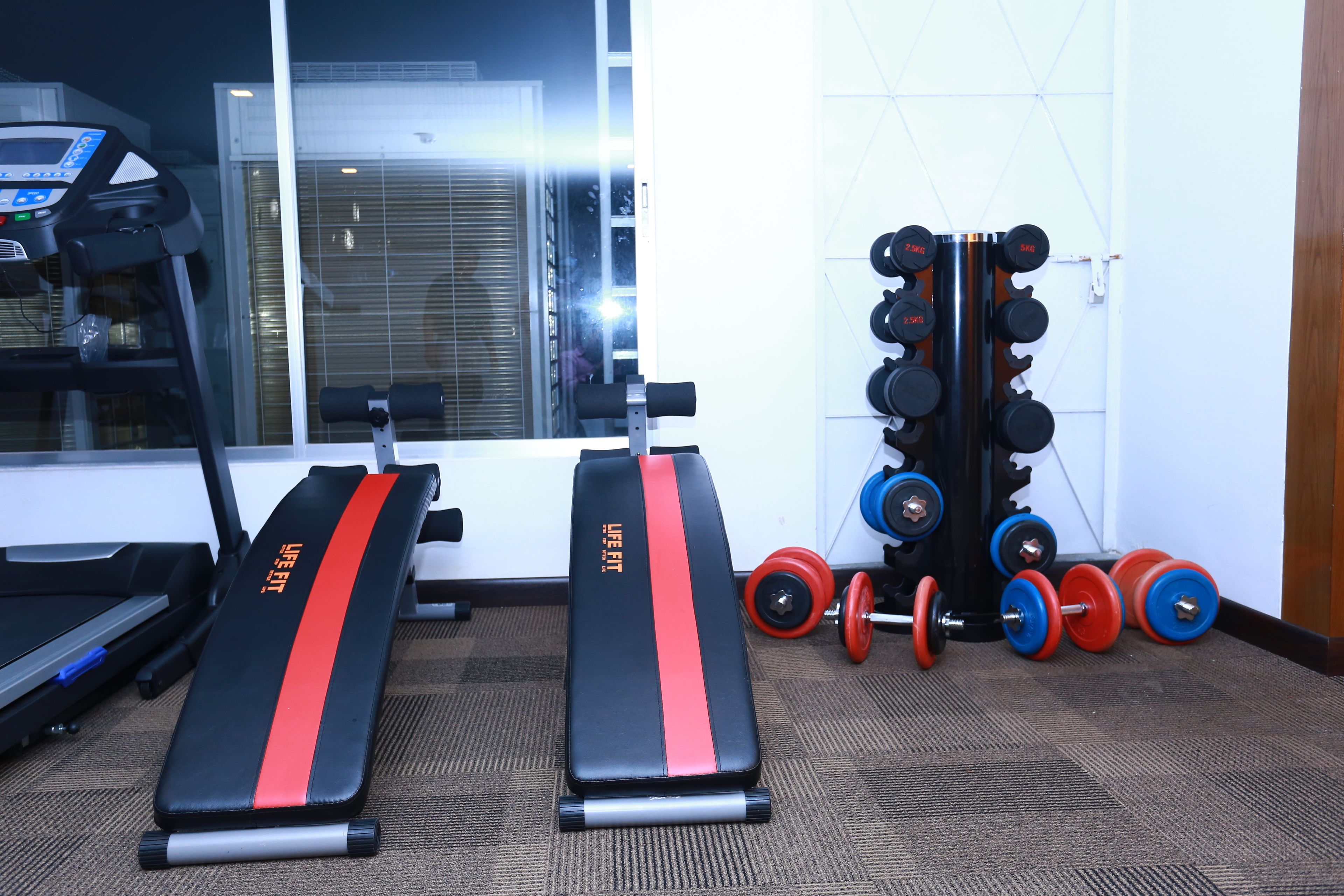 Un gimnasio con cintas de correr, bancos de pesas y un estante con mancuernas.