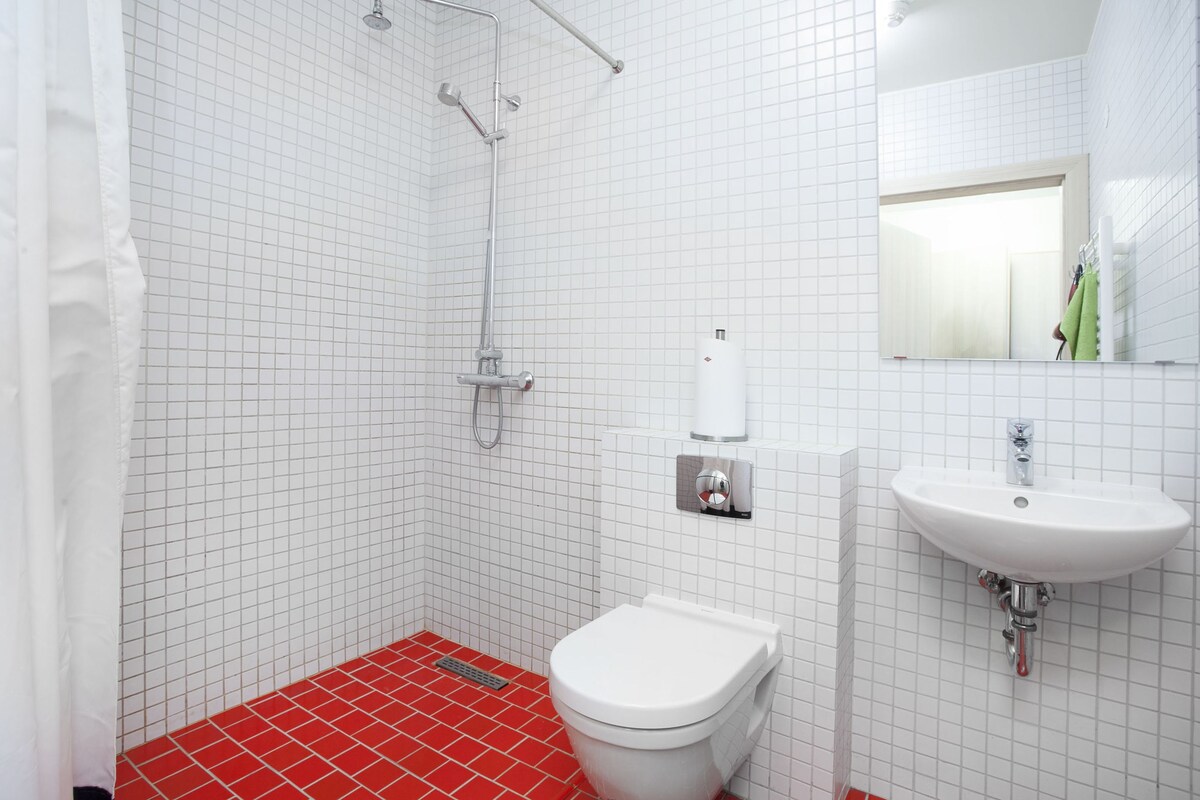 Shower, free toiletries, hair dryer