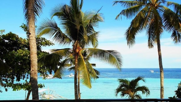 Vista de una playa tropical con palmeras y un mar azul cristalino.