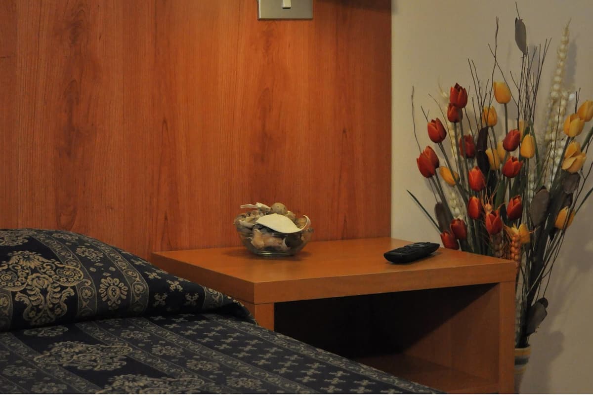 Single Room | In-room safe, desk, WiFi (free)