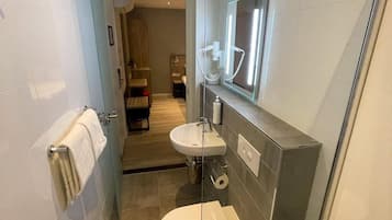 A modern bathroom with a glass shower enclosure, a toilet, a sink, and a vanity mirror.