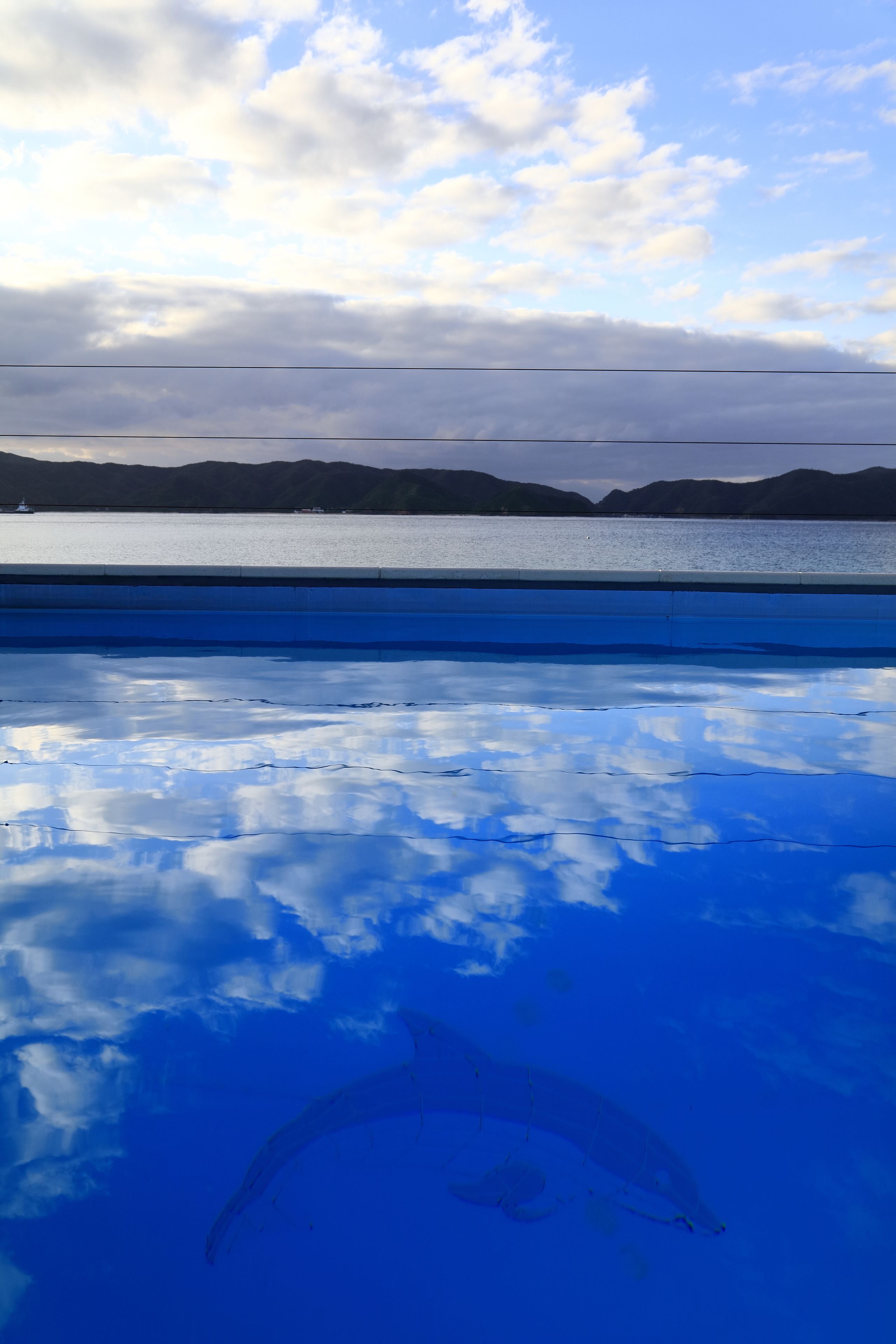 Una piscina con un símbolo de delfín, cielo despejado y montañas al fondo.