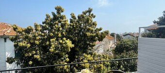 Ada Antik Otel