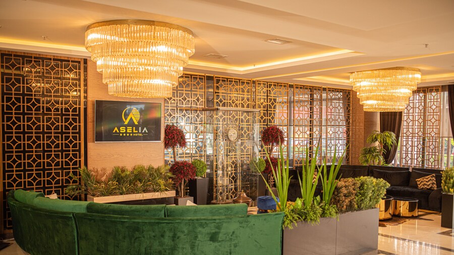 Aselia Hotel Trabzon