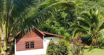 Phanom Bencha Mountain Resort