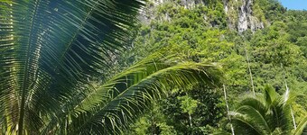 Phanom Bencha Mountain Resort