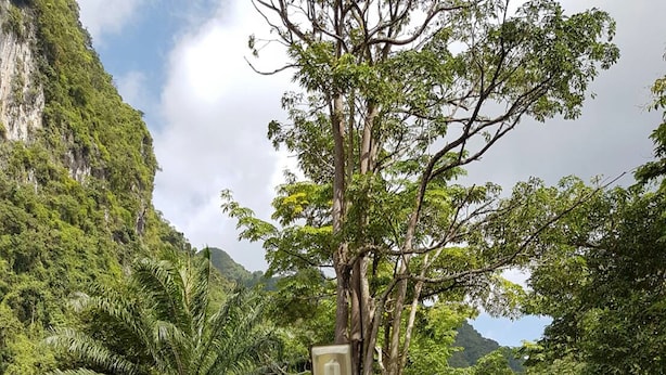 Un cartel con la inscripción 'Phanom Bencha Mountain Resort', rodeado de abundante follaje y un sendero de tierra.