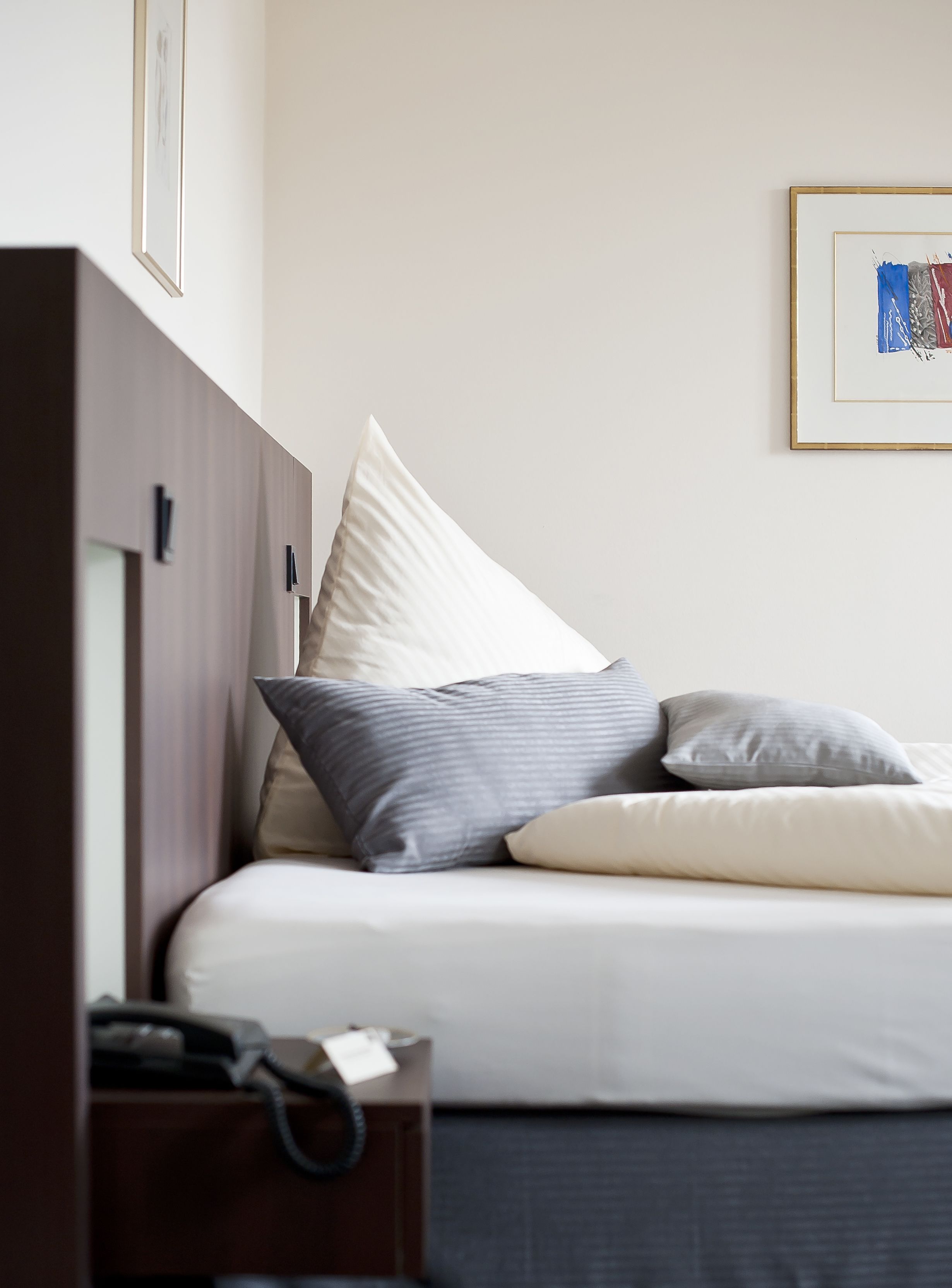 single room | minibar, in-room safe, desk, soundproofing