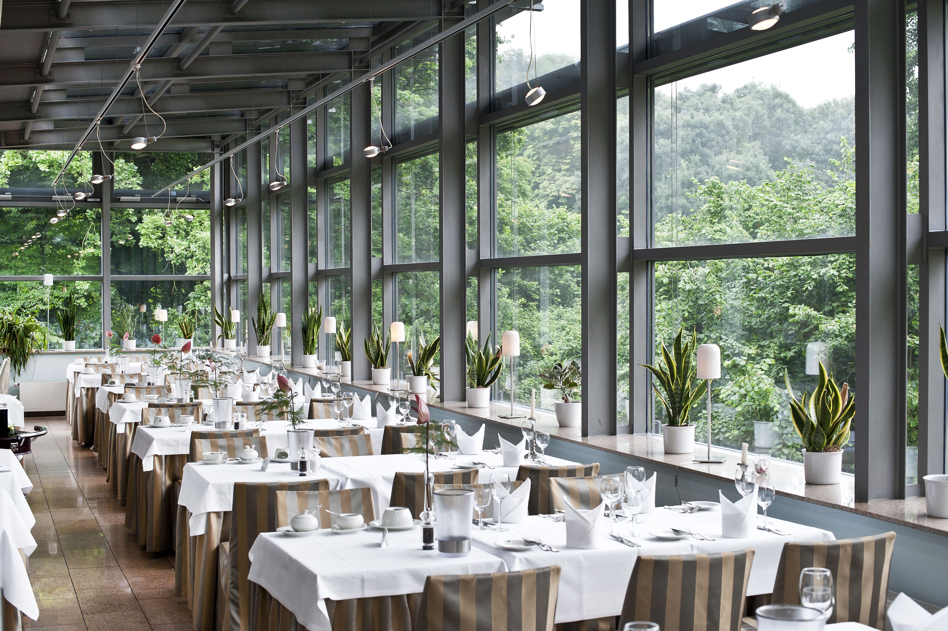 lunch and dinner served, international cuisine