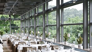 A restaurant with long tables set for dining, large windows with views of greenery, and potted plants on the windowsills. - Schloss Berge (Gelsenkirchen)