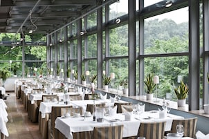 Un restaurante con mesas largas dispuestas para comer, ventanas amplias que dan a zonas verdes y plantas en macetas sobre los alféizares.