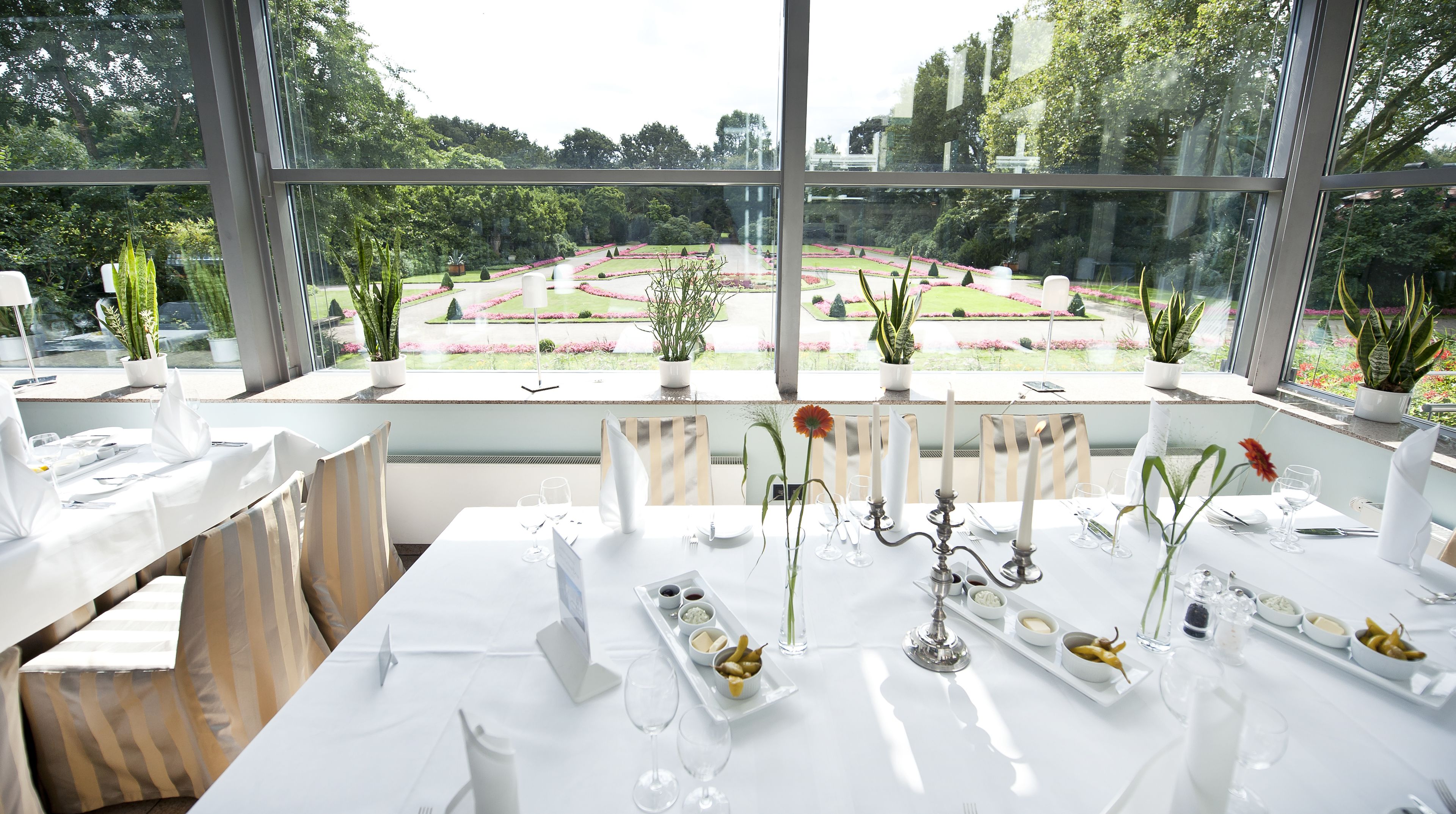 lunch and dinner served, international cuisine