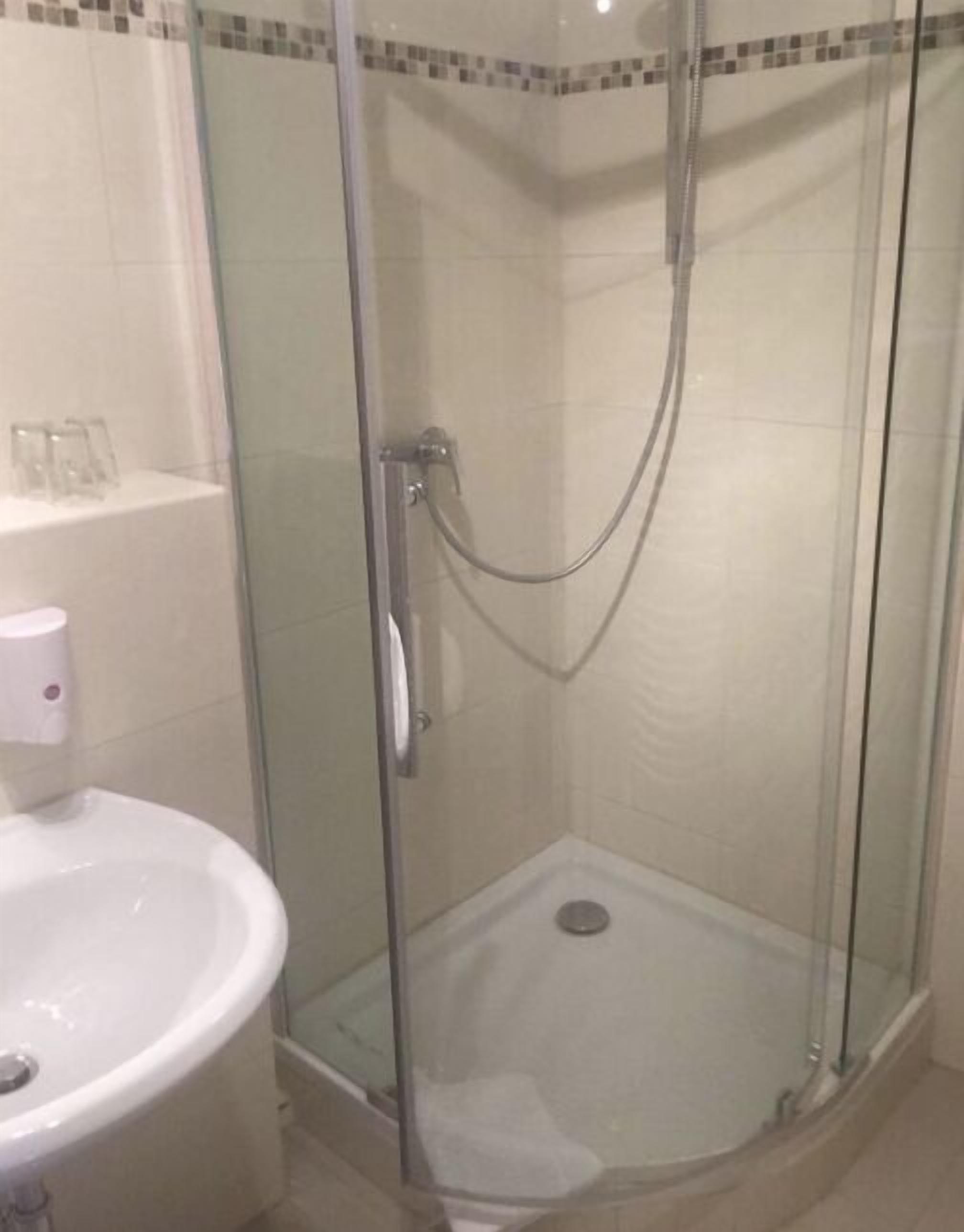 A glass-enclosed shower with a handheld showerhead, a white sink, and a soap dispenser on a shelf.