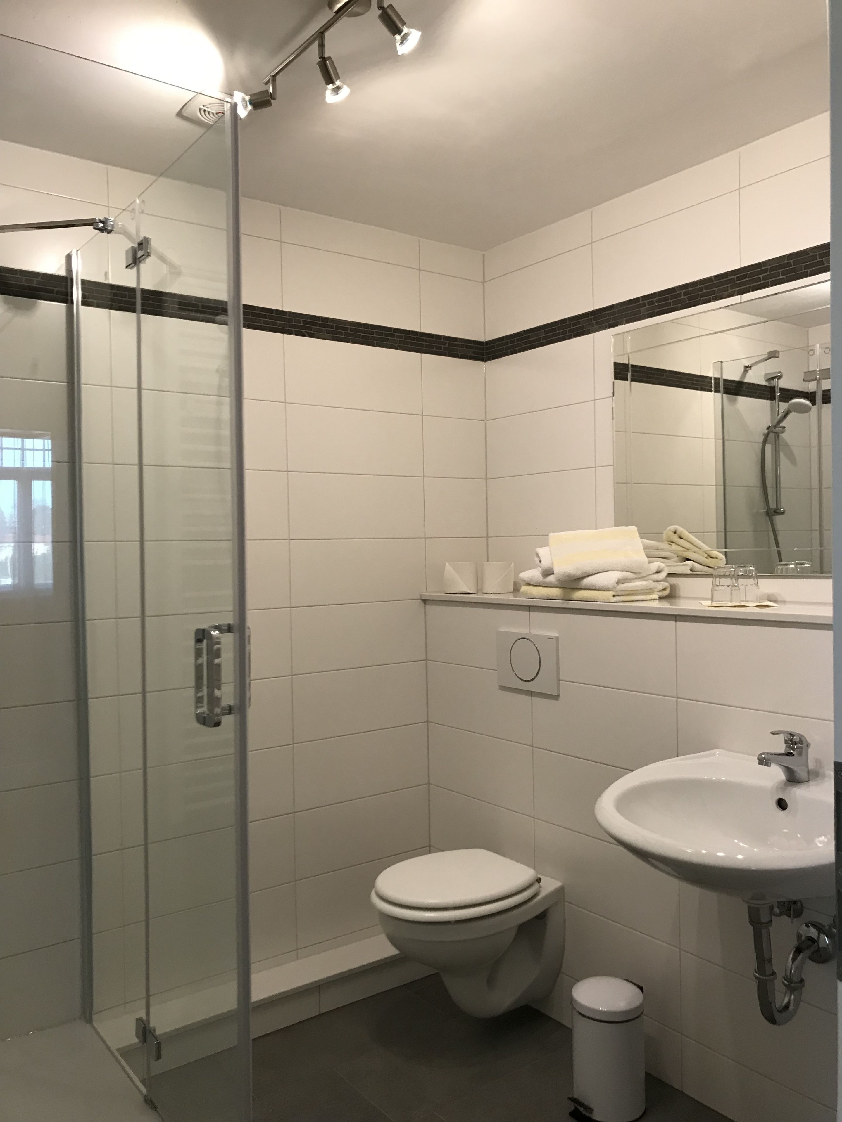 A modern bathroom with a glass-enclosed shower, a white toilet, and a sink with a mirror above it.