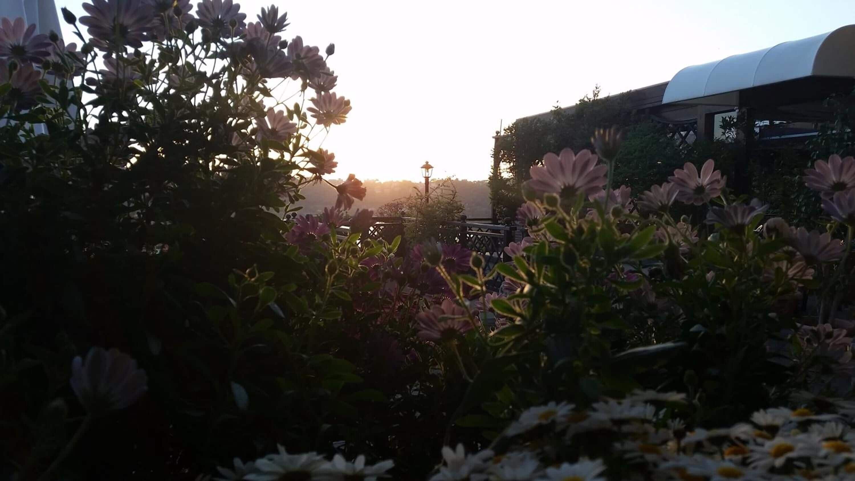 Photo - Hotel Villa Degli Angeli