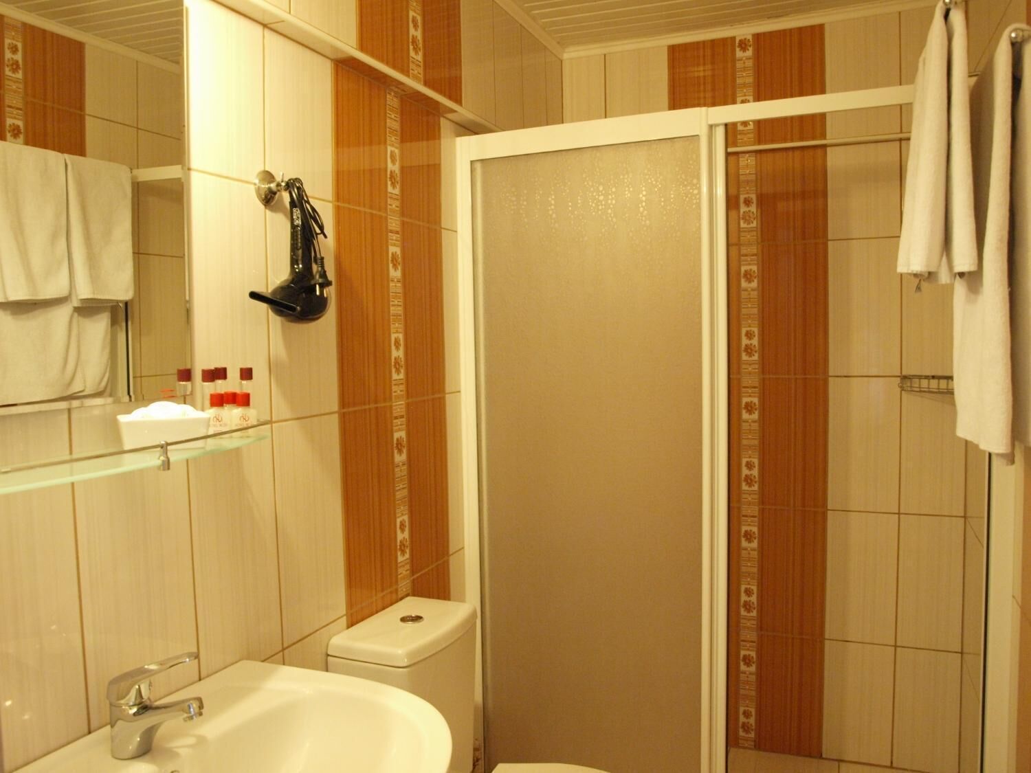 Une salle de bain équipée d’un lavabo, d’un miroir, de toilettes et d’une douche.