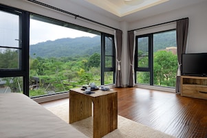 Deluxe Double Room | View from room