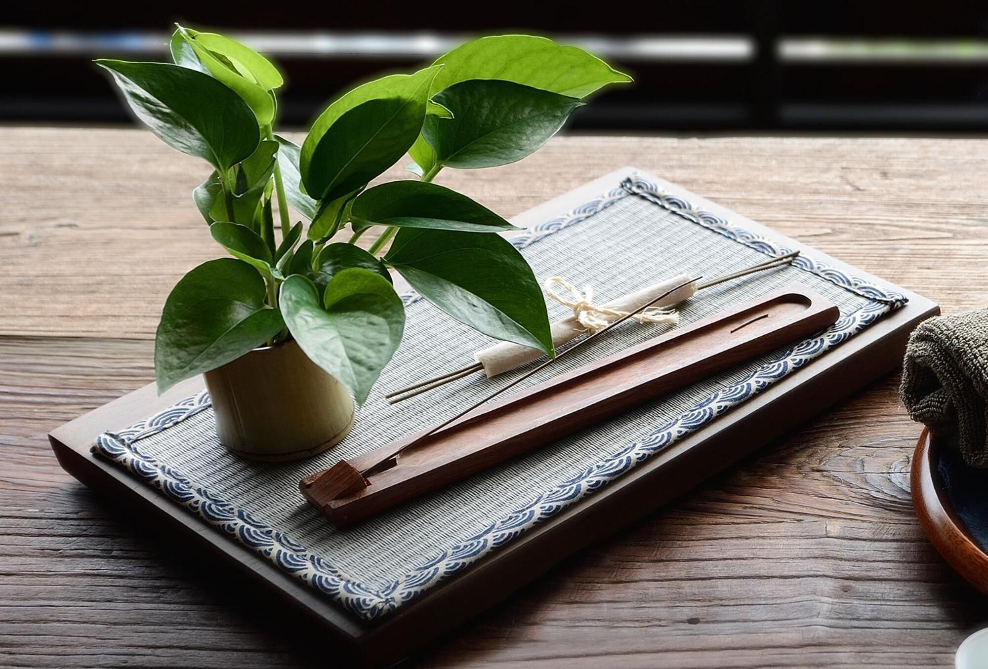A potted plant, chopsticks, and a woven mat on a wooden table.