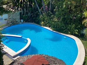 A swimming pool with a curved edge, surrounded by lush greenery and a stone wall. - El Cabarete Spa & Resort (Cabarete)