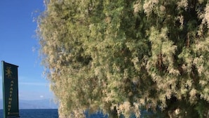 Une zone pavée de pierres, avec un panneau indiquant « Appartements » et une vue sur la mer.