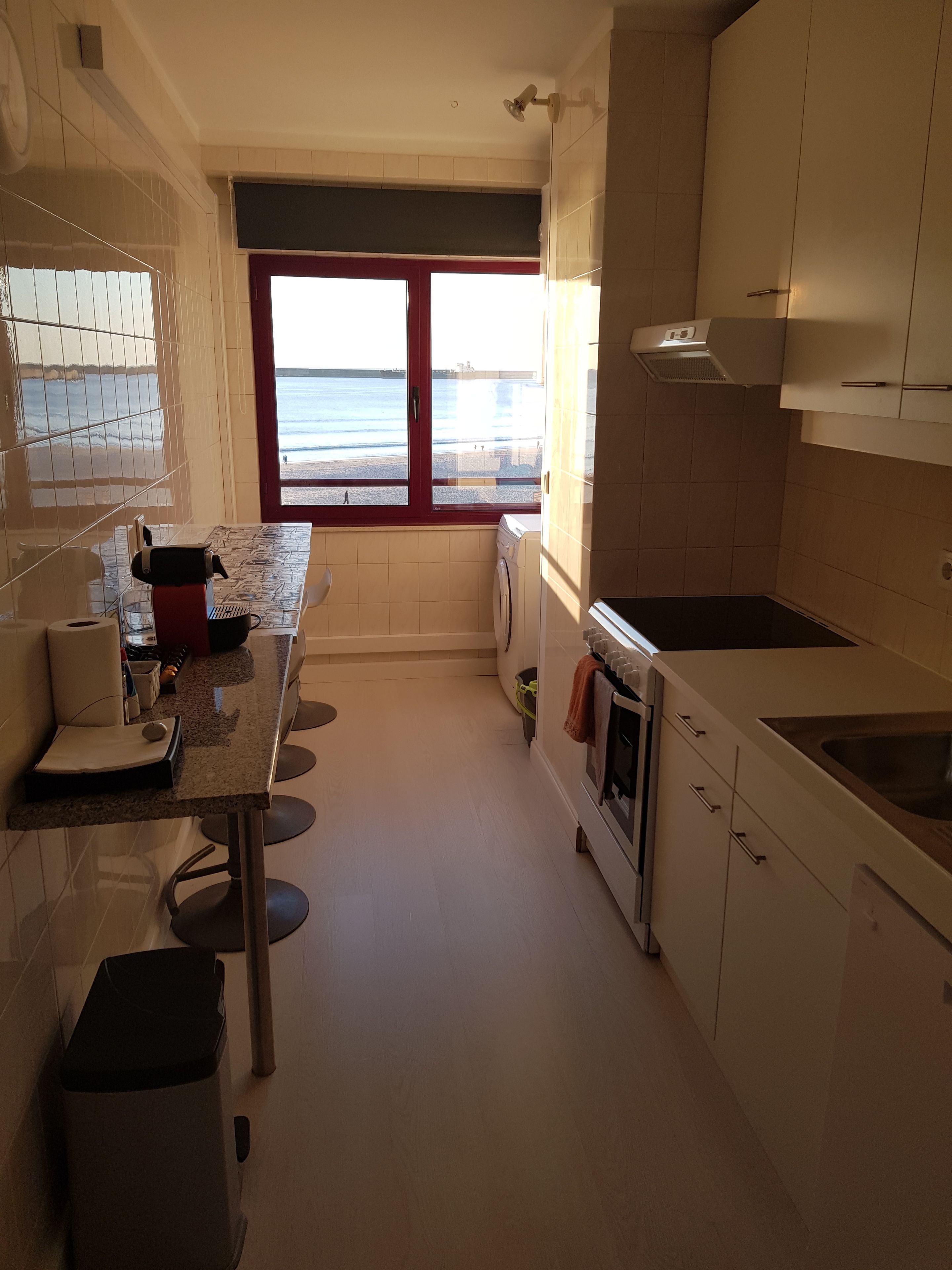 apartment, 1 bedroom, sea view | private kitchen | full-sized fridge, microwave, oven, stovetop