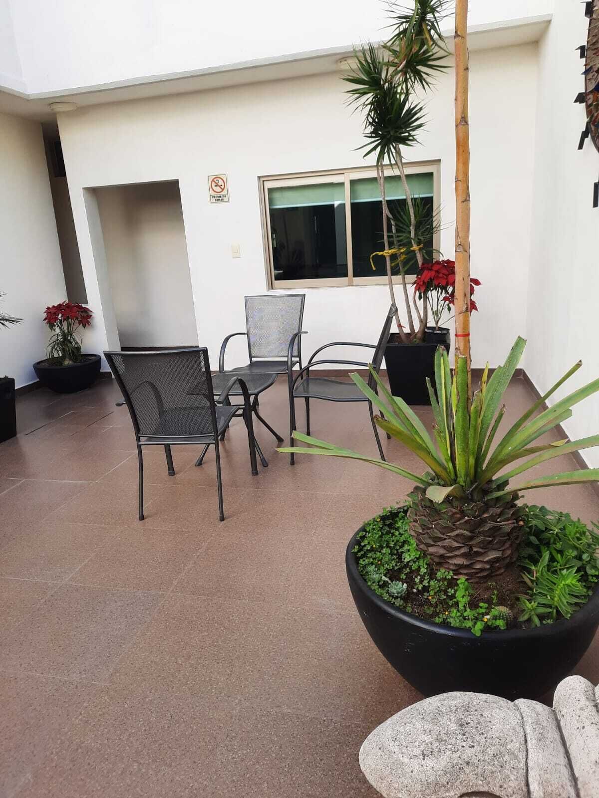 Un área de estar al aire libre con sillas de metal y una mesa, rodeada de plantas en macetas y una planta grande en primer plano.