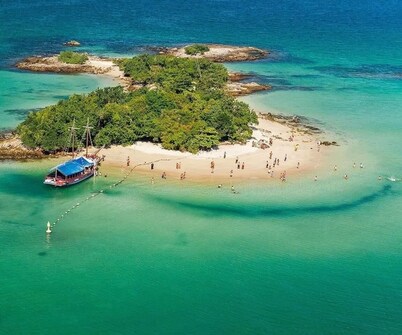 レカント ダ アナ アリス