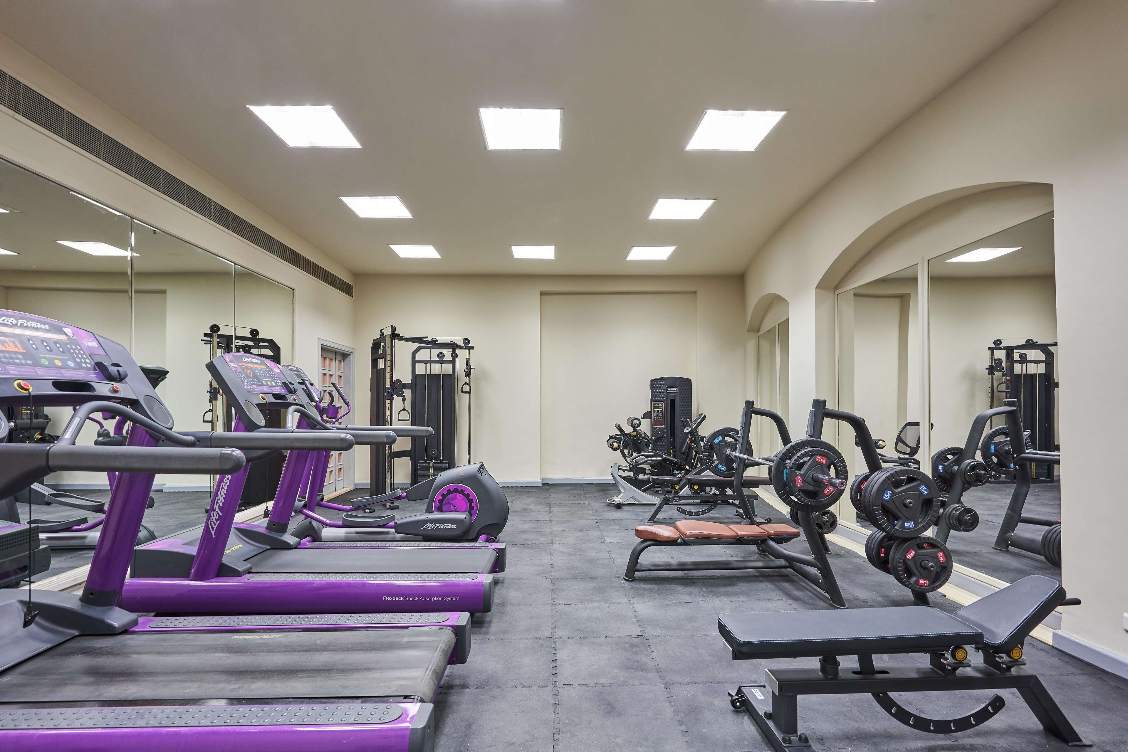 A gym with treadmills, weight machines, and free weights.