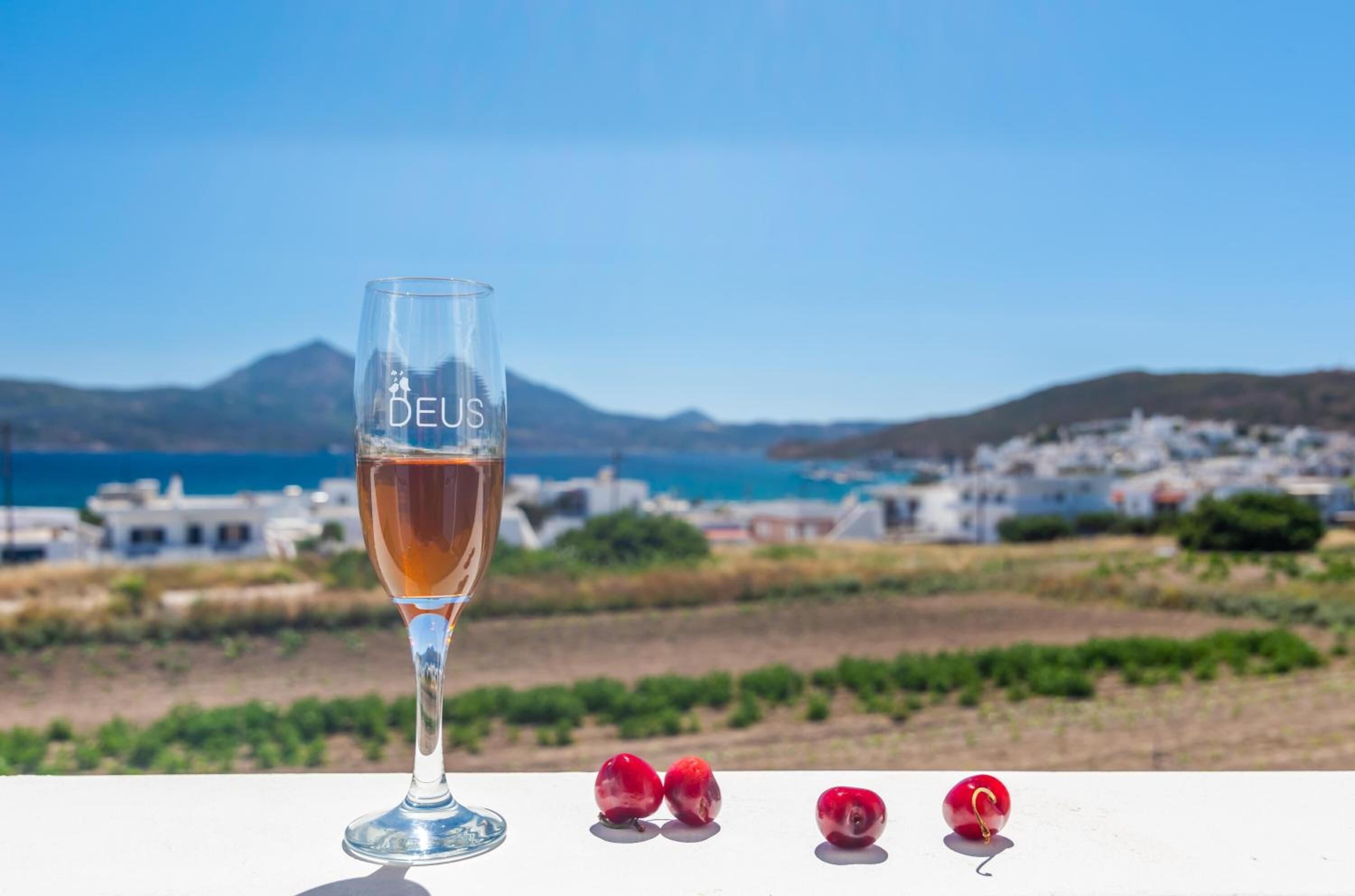 Ett glas vin med texten ”DEUS” på, ett bord med plommon och en utsikt över kusten med byggnader och berg.