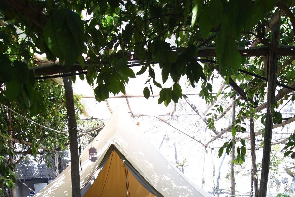 A tent with a table and two chairs under a tree.