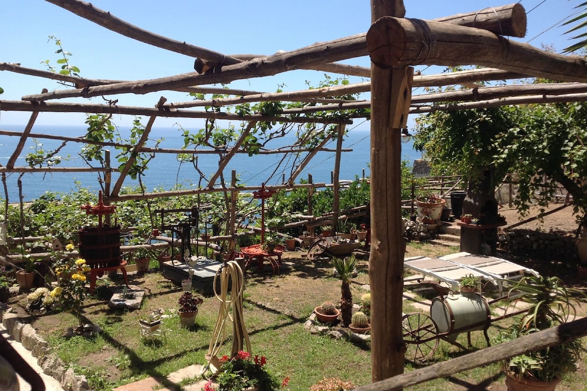 Studio, vue jardin | Terrasse/Patio