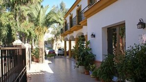 Un étroit sentier pavé, bordé de plantes en pot et d’un bâtiment blanc doté de balcons.