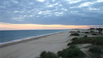 Tæt på stranden