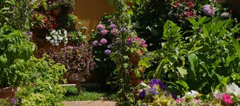 Hotel Doñana Blues