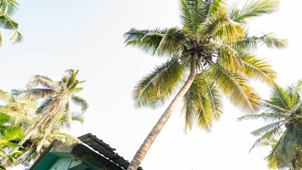 A two-story building with a balcony and a door. - Nelmar Nest Guest House (Calangute)