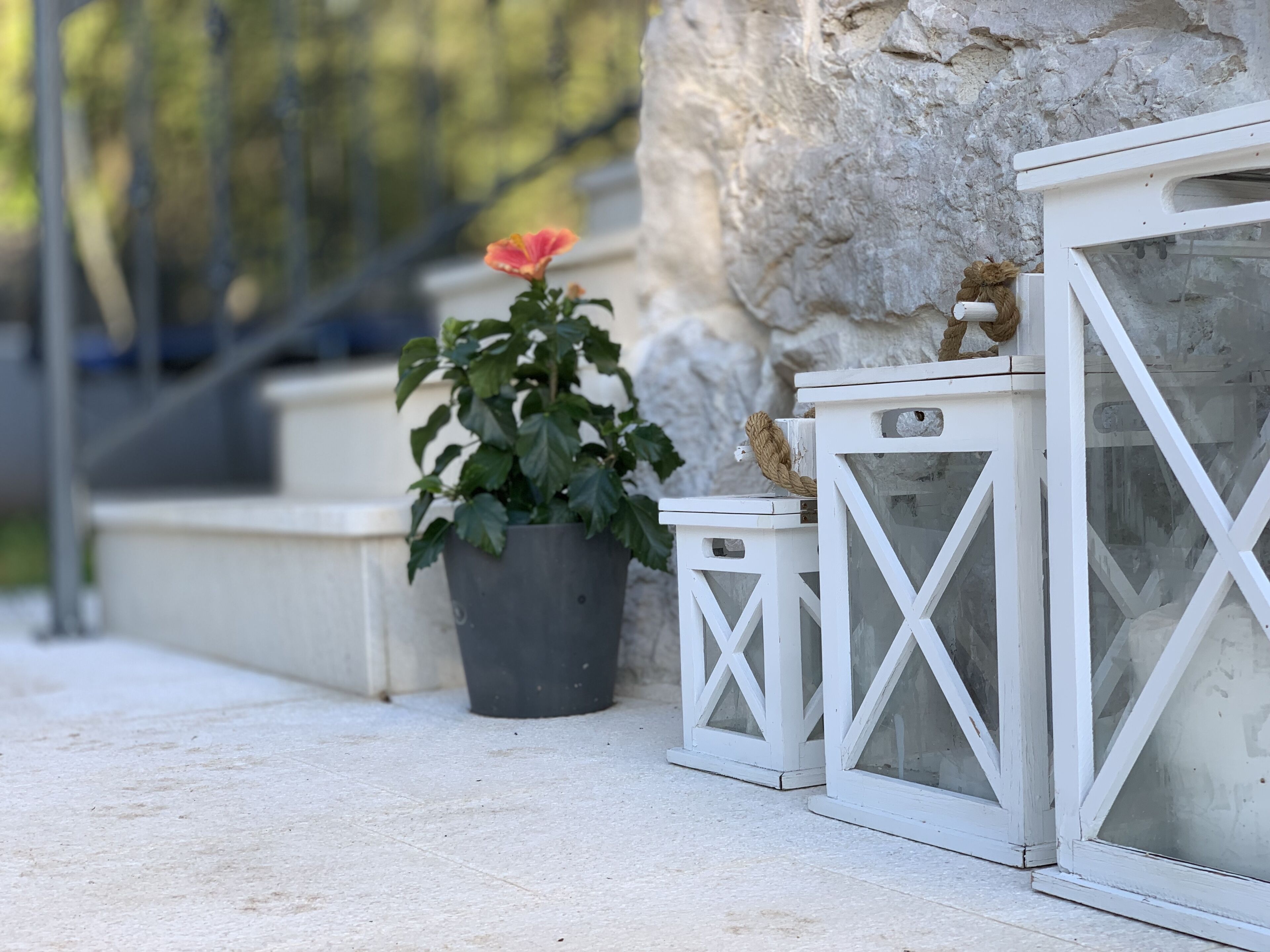 Une plante en pot avec une seule fleur, deux lanternes blanches et un mur de pierre.