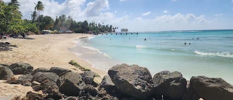 Plage à proximité, chaises longues, serviettes de plage