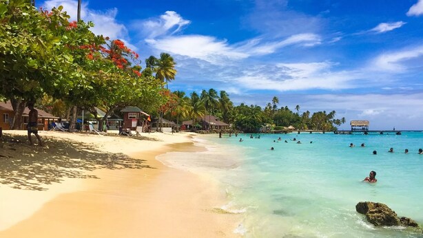 A beach with clear turquoise water, palm trees, and beach huts.