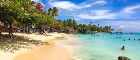 Nær stranden, solsenger og strandhåndklær